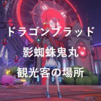 ドラゴン ブラッド 知恵 の サロン